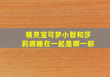 精灵宝可梦小智和莎莉娜睡在一起是哪一部