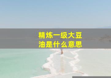 精炼一级大豆油是什么意思