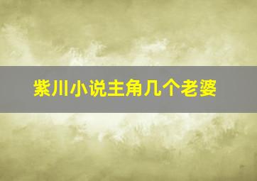 紫川小说主角几个老婆