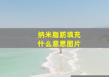 纳米脂肪填充什么意思图片