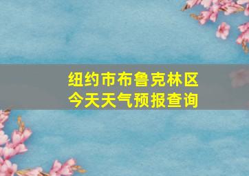 纽约市布鲁克林区今天天气预报查询