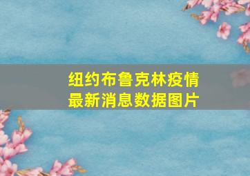 纽约布鲁克林疫情最新消息数据图片