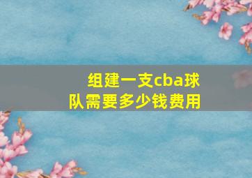 组建一支cba球队需要多少钱费用