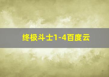 终极斗士1-4百度云