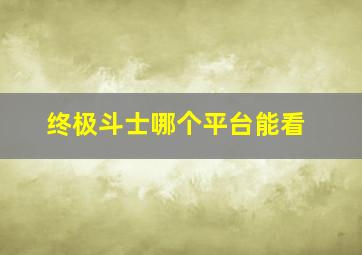 终极斗士哪个平台能看