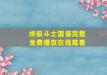 终极斗士国语完整免费播放在线观看