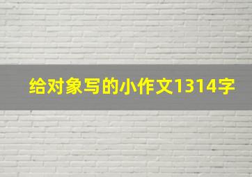 给对象写的小作文1314字