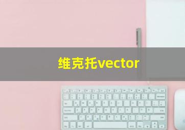 维克托vector