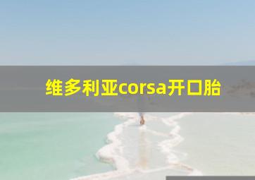 维多利亚corsa开口胎