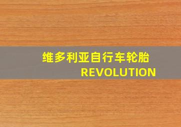 维多利亚自行车轮胎REVOLUTION