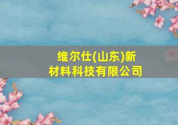 维尔仕(山东)新材料科技有限公司