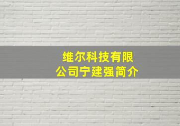 维尔科技有限公司宁建强简介