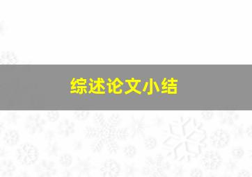 综述论文小结