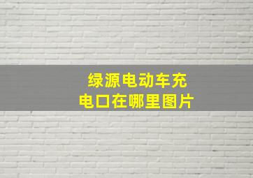 绿源电动车充电口在哪里图片