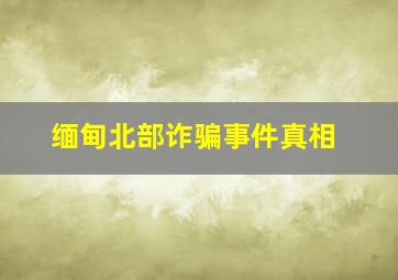 缅甸北部诈骗事件真相