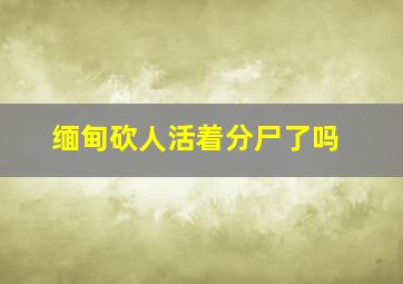 缅甸砍人活着分尸了吗