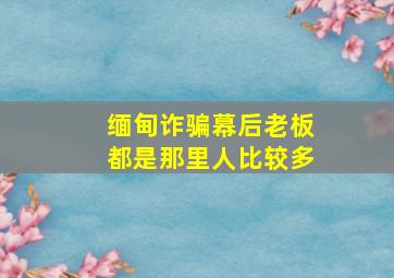 缅甸诈骗幕后老板都是那里人比较多