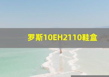 罗斯10EH2110鞋盒