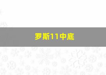 罗斯11中底