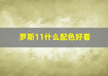 罗斯11什么配色好看