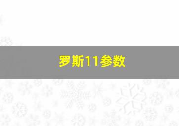 罗斯11参数