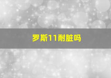 罗斯11耐脏吗