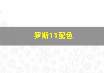 罗斯11配色