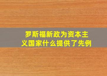 罗斯福新政为资本主义国家什么提供了先例