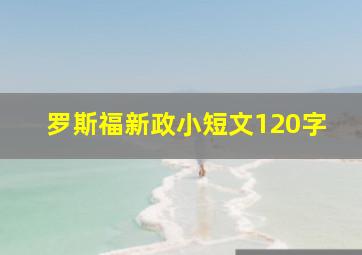 罗斯福新政小短文120字