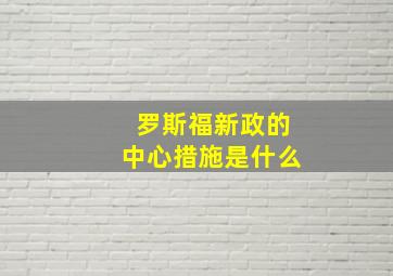 罗斯福新政的中心措施是什么