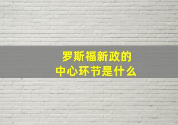 罗斯福新政的中心环节是什么