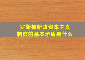 罗斯福新政资本主义制度的基本矛盾是什么