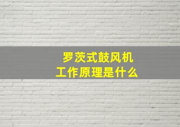 罗茨式鼓风机工作原理是什么