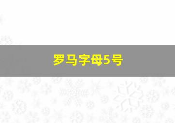 罗马字母5号