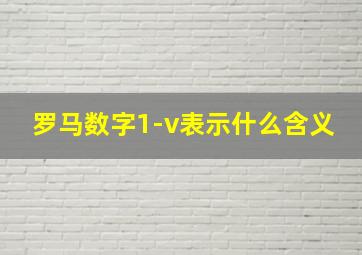 罗马数字1-v表示什么含义