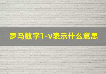 罗马数字1-v表示什么意思