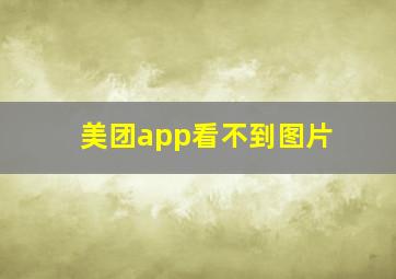 美团app看不到图片