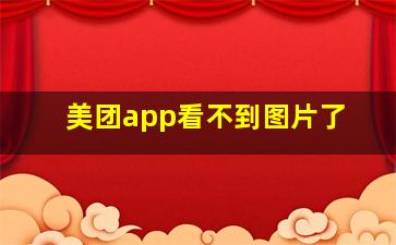 美团app看不到图片了