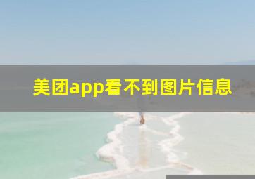 美团app看不到图片信息