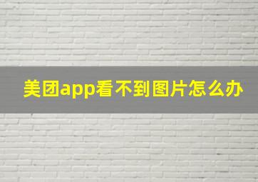 美团app看不到图片怎么办