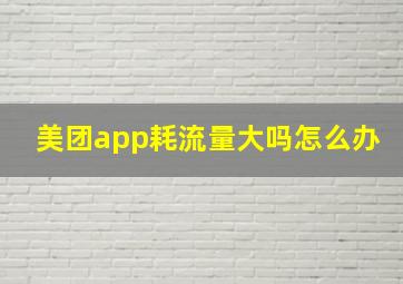 美团app耗流量大吗怎么办