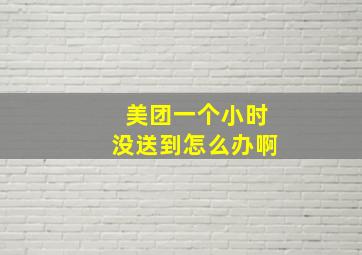 美团一个小时没送到怎么办啊