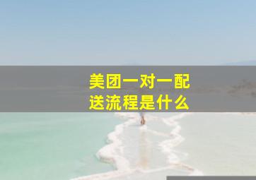 美团一对一配送流程是什么