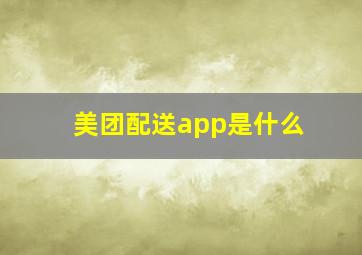 美团配送app是什么