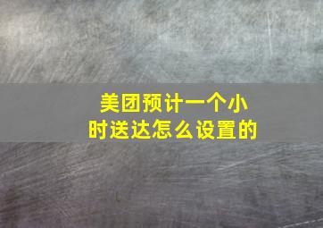 美团预计一个小时送达怎么设置的