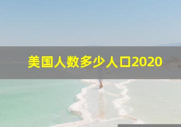 美国人数多少人口2020