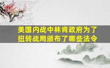 美国内战中林肯政府为了扭转战局颁布了哪些法令