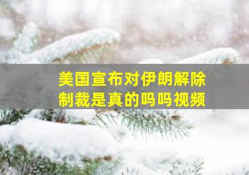 美国宣布对伊朗解除制裁是真的吗吗视频