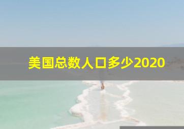 美国总数人口多少2020