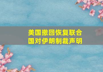 美国撤回恢复联合国对伊朗制裁声明